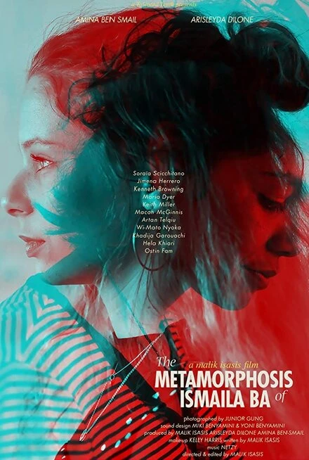Постер The Metamorphosis of Ismaila Ba