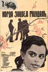 Когда зацвел миндаль 1972 постер
