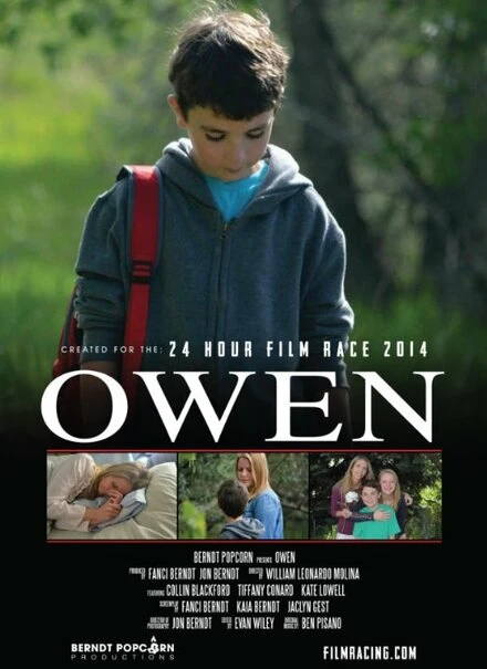 Постер Owen 2014