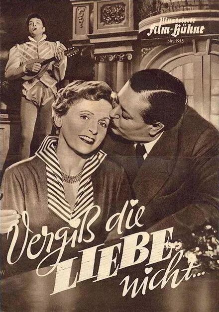 Постер Vergiß die Liebe nicht