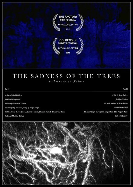 Постер The Sadness of the Trees