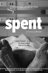 Spent 2017 постер