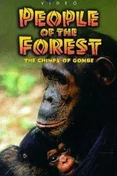 People of the Forest: The Chimps of Gombe постер