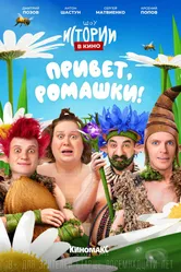 Истории в кино: Привет, ромашки! 2022 постер