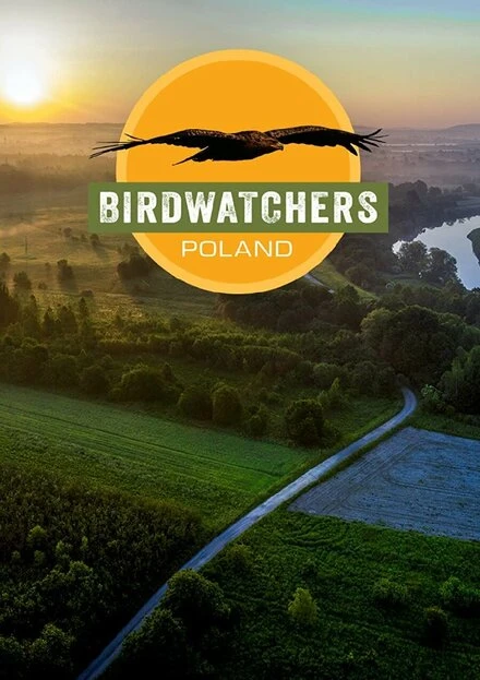 Постер Birdwatchers: Poland 2020
