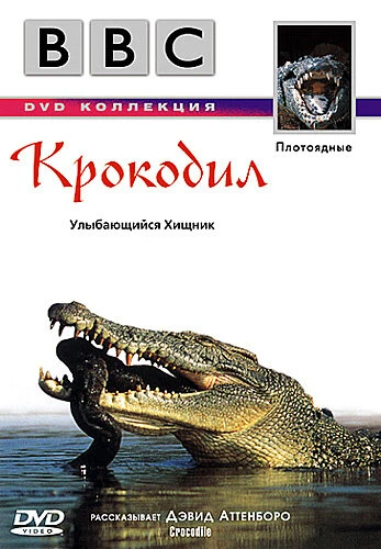 Постер BBC: Крокодил 1995