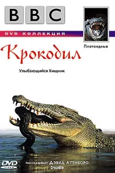 BBC: Крокодил 1995 постер