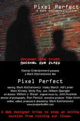 Pixel Perfect постер