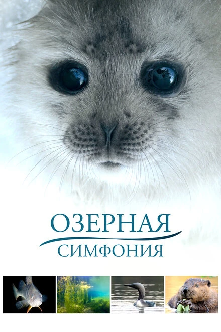 Постер Озерная симфония 2016