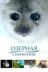 Озерная симфония 2016 постер