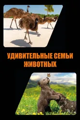 Удивительные семьи животных 2019 постер