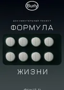 Формула жизни постер
