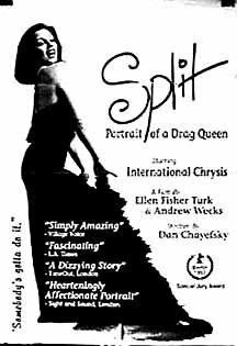 Постер Split 1993