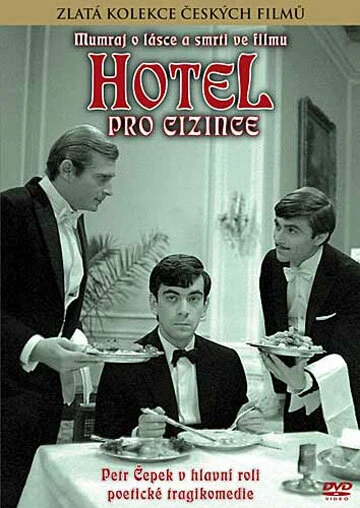 Постер Отель для чужестранцев 1966