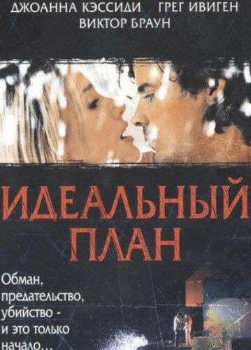 Постер Идеальный план 2005