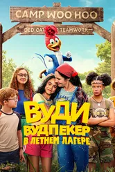 Вуди Вудпекер в летнем лагере 2024 постер