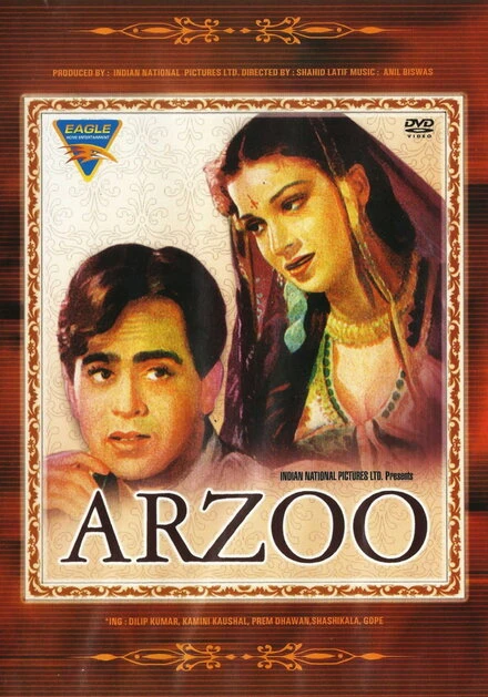 Постер Arzoo
