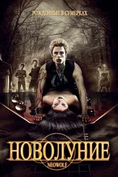 Новолуние 2010 постер