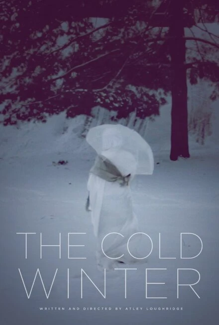 Постер The Cold Winter