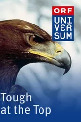 Tough at the Top постер