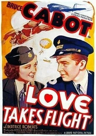 Постер Love Takes Flight