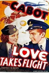 Love Takes Flight постер