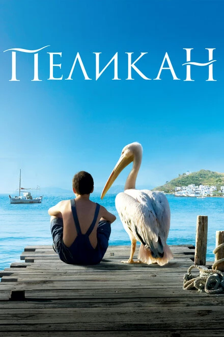 Постер Пеликан 2011