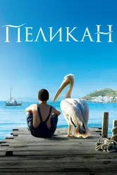 Пеликан 2011 постер
