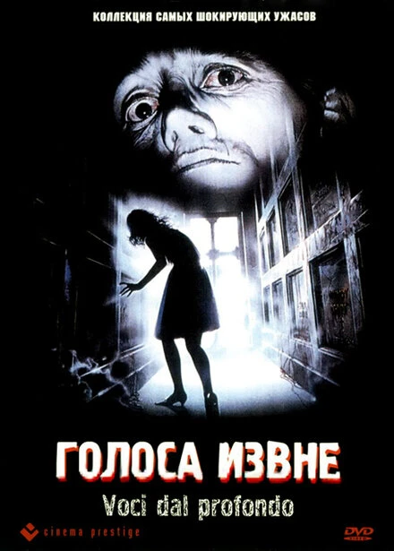Постер Голоса извне 1991
