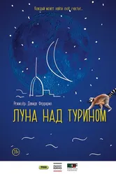 Луна над Турином 2013 постер