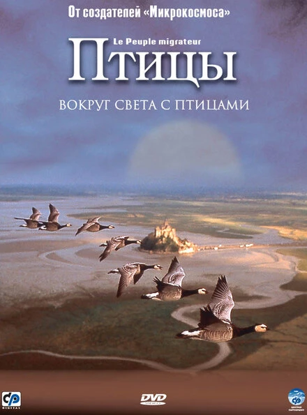 Постер Птицы 2001