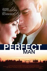 Совершенный мужчина 2013 постер