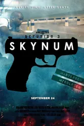 Defusion 3: Skynum постер
