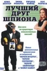 Лучший друг шпиона 2003 постер