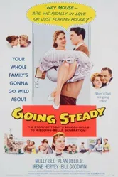Going Steady постер