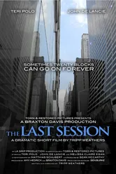 The Last Session 2013 постер