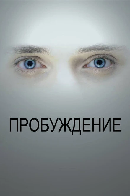 Постер Пробуждение 2013