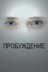 Пробуждение 2013 постер