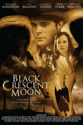 Рождение черной луны 2008 постер