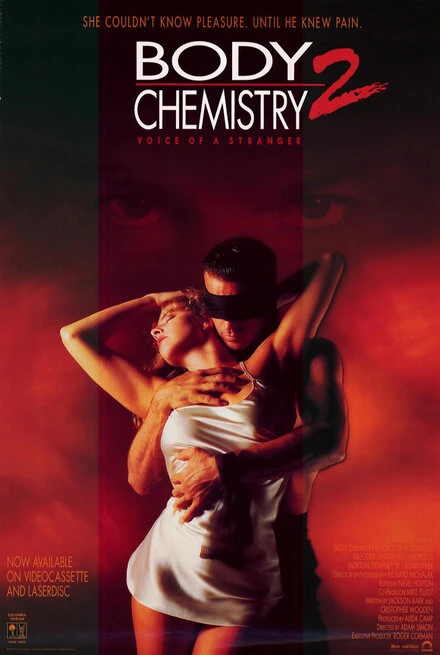 Постер Химия тела 2: Голос незнакомца 1991