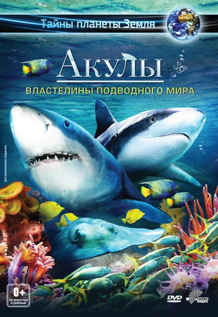 Постер Акулы 3D: Властелины подводного мира 2013
