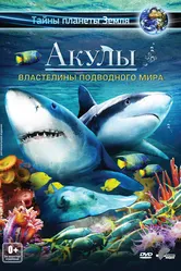 Акулы 3D: Властелины подводного мира 2013 постер