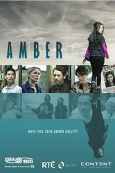 Эмбер 2014 постер