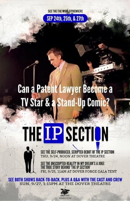 Постер The IP Section