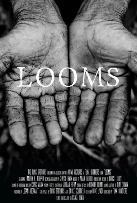 Постер Looms