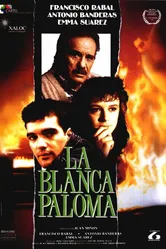 Белая голубка 1989 постер