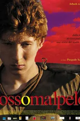 Рыжий 2007 постер