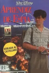 Шпионы 1993 постер