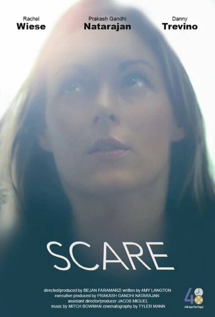 Постер Scare 2014