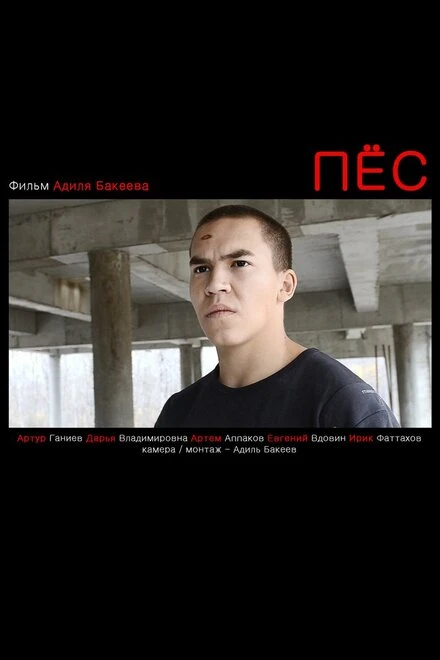Постер Пес 2012